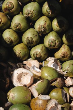 othem üzerinde sürünerek sinekler ile taze yeşil soyulmamış Hindistan cevizi