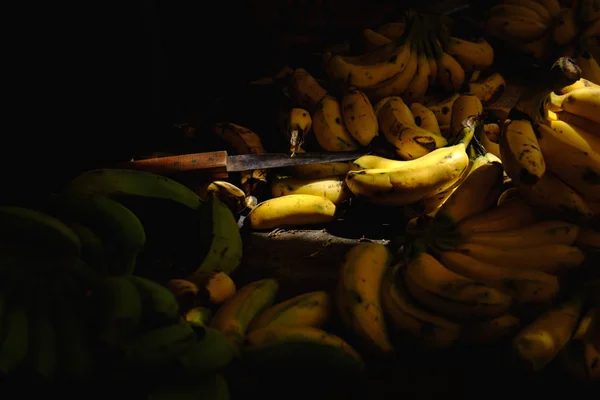 Bananas verdes e amarelas maduras na banca do mercado — Fotografia de Stock