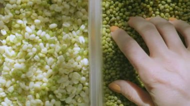 Mung dal veya doğal ışık altın gram cam kavanoza dökülen su