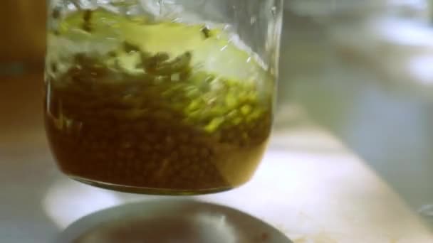 Agua Vertiendo Frasco Vidrio Con Mung Dal Gramo Oro Luz — Vídeos de Stock