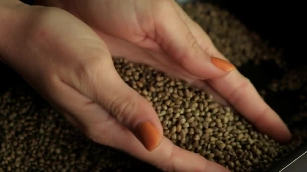Frau Nimmt Eine Handvoll Cannabis Samen Natürlichem Licht — Stockvideo