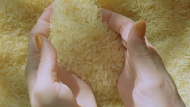 Mujer Mano Tomando Puñado Arroz Basmati Luz Natural — Vídeos de Stock