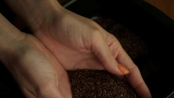 Mulher Mão Tomando Punhado Sementes Linha Luz Natural — Vídeo de Stock