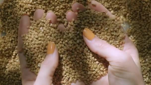 Woman Hand Taking Handful Basmati Rice Natural Light — Stock Video