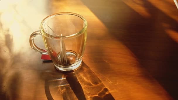 Någon Ibruktagande Glas Kopp Teabag Och Hälla Varmt Vatten Morgonen — Stockvideo