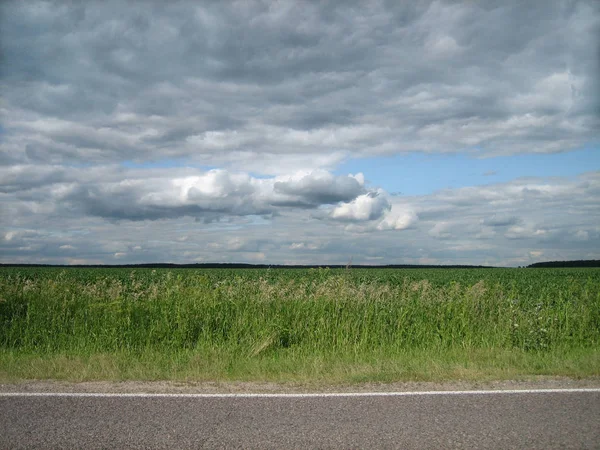 Gladde rand van verharde wegen in een schoon groen veld in het land — Stockfoto