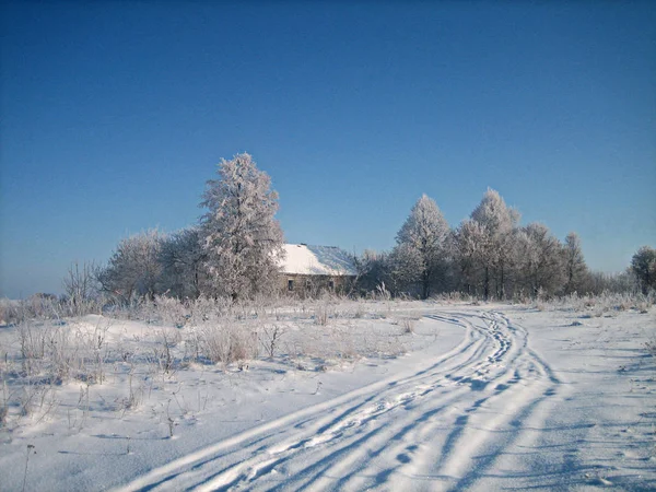 Старый заброшенный деревянный дом в зарослях деревьев на снежном поле — стоковое фото
