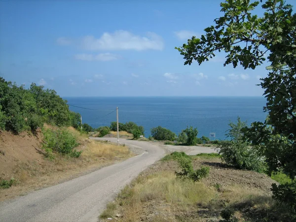 Eine schmale Asphaltstraße an einem heißen, sonnigen Tag vorbei an immergrünen Bäumen und — Stockfoto