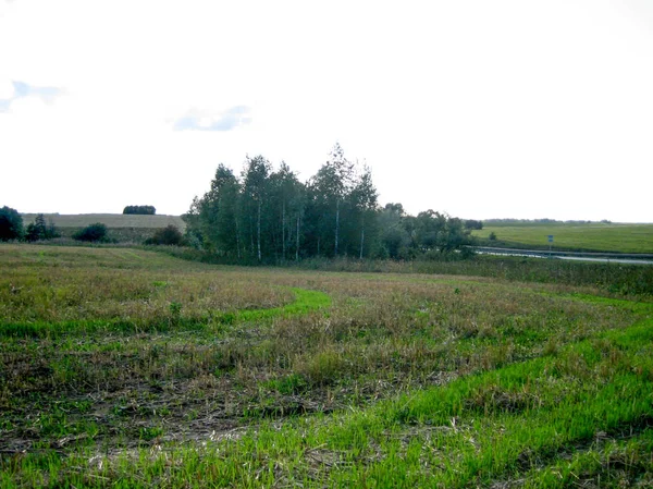 Un paesaggio rurale opaco con un campo, alberi e una strada su un brigh — Foto Stock