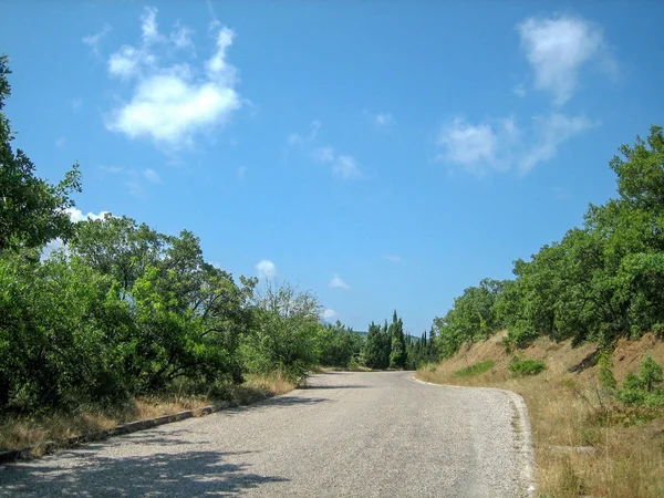 Een smalle asfalt weg op een warme zonnige dag langs groenblijvende bomen een — Stockfoto
