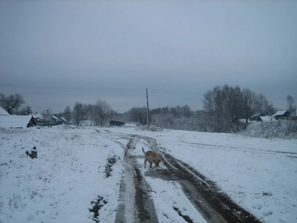 Modderige onverharde weg in een oud verlaten dorp op een bewolkte winter d — Stockfoto