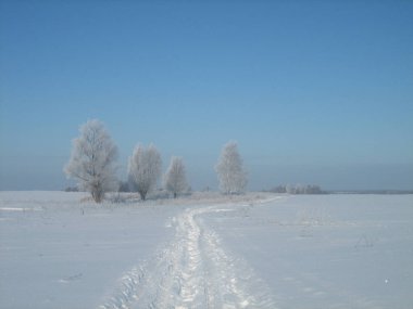 Açık bir soğuk günde kış yolu.