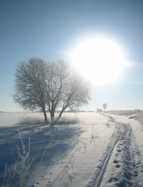 Winterliche Straße an einem klaren frostigen Tag. — Stockfoto