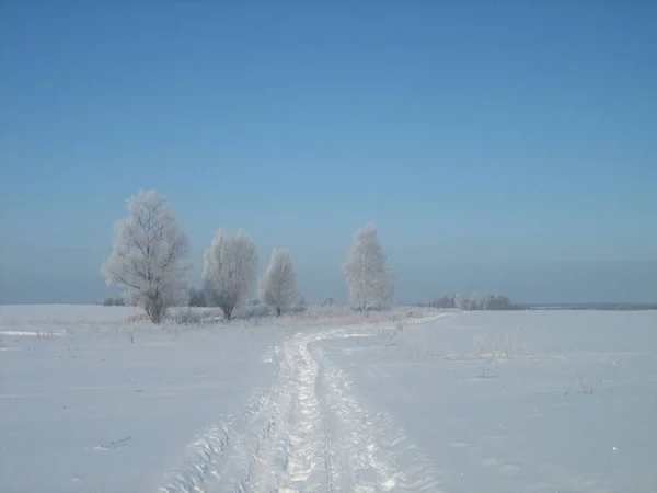 Winterliche Straße an einem klaren frostigen Tag. lizenzfreie Stockfotos