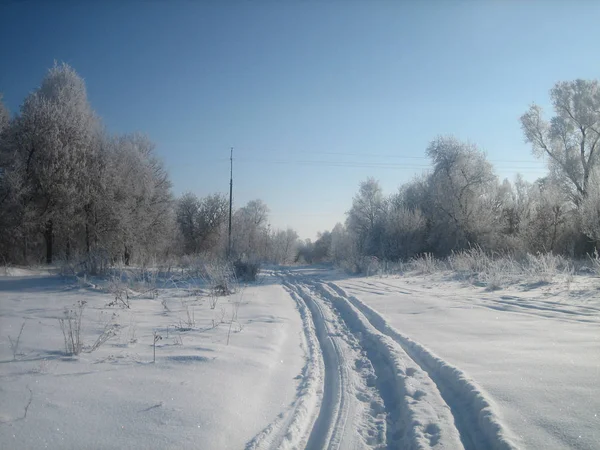 Winterweg op een heldere ijzige dag. Rechtenvrije Stockafbeeldingen