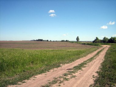 Açık bir yaz gününde açık bir alanda kir yol. Kuru toprak ruts düz, düz kırsal yol oluşturur. Tarla yerlerde yeşil çimlerle kaplıdır, yerlerde çimbiçilir. İleride birkaç ağaç.