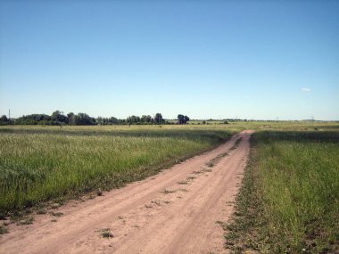Açık bir yaz gününde açık bir alanda kir yol. Kuru toprak ruts