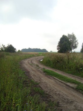 Bulutlu bir günde uzun otbir arazi ile Kir yol. İleri bir
