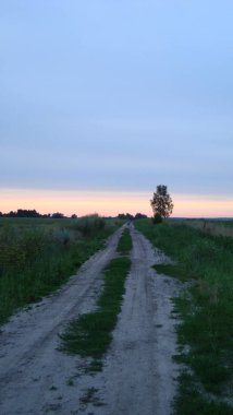 Bir yaz gününde gün batımında açık bir alanda kir yol. Güneş ş