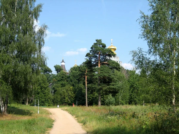 Polna droga przez łąkę prowadzi do lasu sosnowego na lato — Zdjęcie stockowe