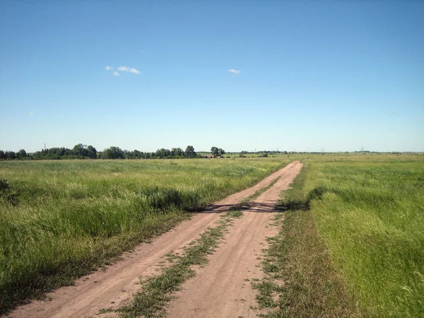 Dirt road in an open field on a clear summer day. Dry earth ruts — Stock Photo, Image