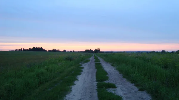 Грязная дорога в открытом поле на закате в летний день. Солнечный свет — стоковое фото