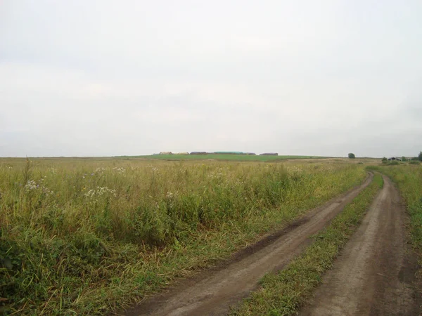 Polní cesta na plochém poli trávy na konci dne pod — Stock fotografie