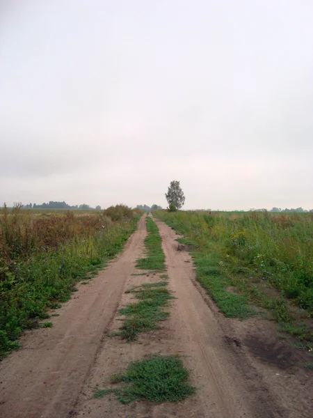 Strada sterrata in un campo aperto in una giornata estiva. Le scorze secche formano un piatto — Foto Stock