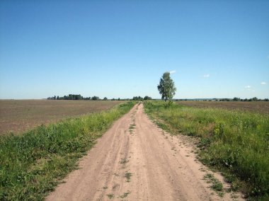 Açık bir yaz gününde açık bir alanda kir yol. Kuru toprak ruts