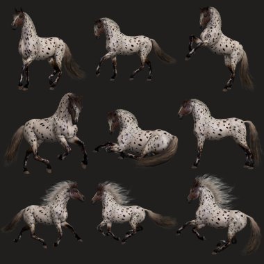 3D bilgisayar grafik ve bir leopar Appy at dokuz pozlar