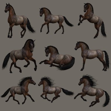 3D bilgisayar grafik ve Hancock Roan at dokuz pozlar