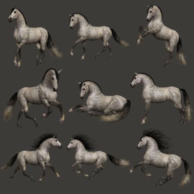 3D bilgisayar grafik ve Dappel gri at dokuz pozlar