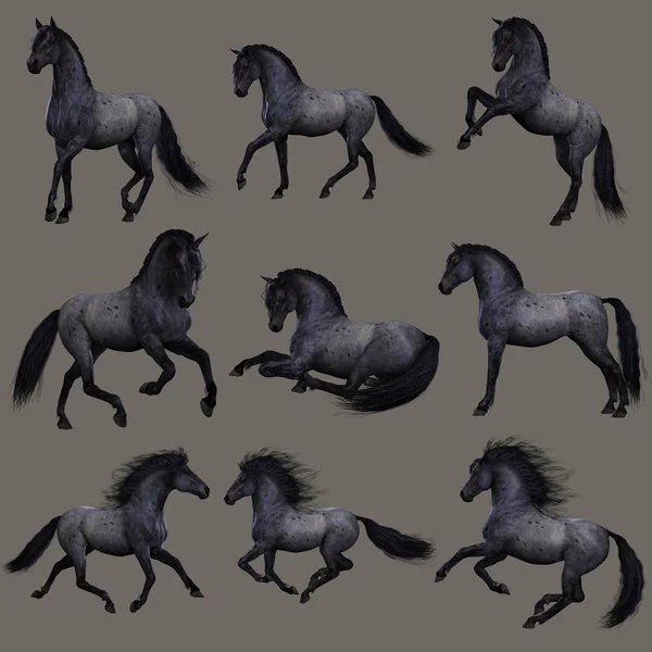 Gráficos Computador Nove Poses Cavalo Roan Azul — Fotografia de Stock
