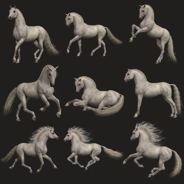 Computergraphics Van Negen Poses Van Een Paard Fleabitten Grey — Stockfoto