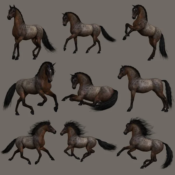 Computergraphics Van Negen Poses Van Een Paard Hancock Roan — Stockfoto