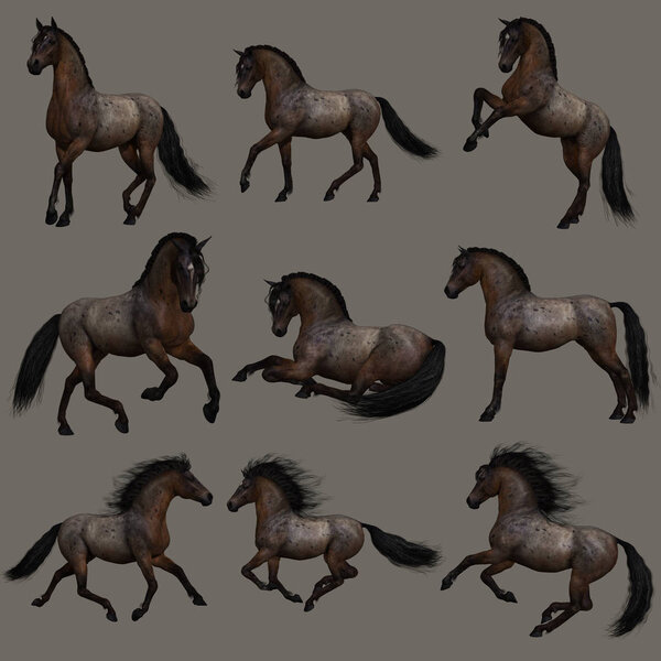 3d computer graphics of nine poses of a Hancock Roan horse