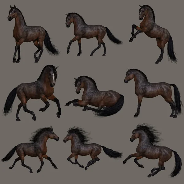 Компьютерная Графика Девяти Поз Лошади Залива Махагани — стоковое фото