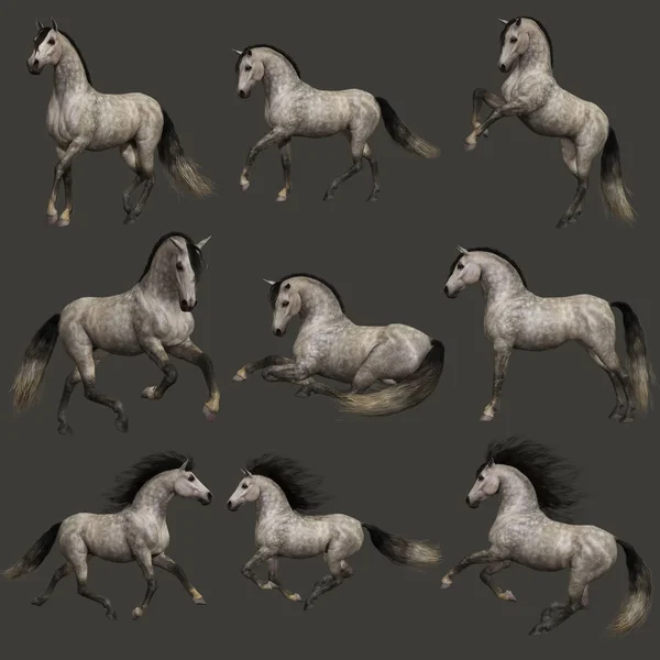 Gráficos Por Computadora Nueve Poses Caballo Gris Dappel — Foto de Stock