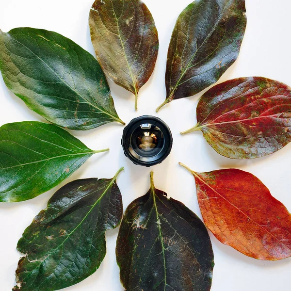 Camera lens surrounded by colorful autumn leaves on white background. Creative concept of time. The visual image of time