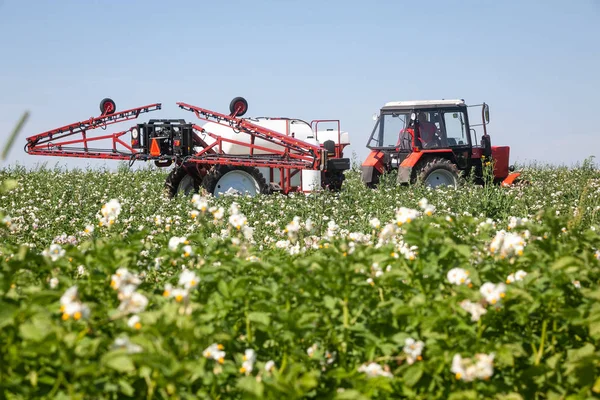 Röda Traktorn Spruta Fältet Gör Kemisk Behandling Till Växterna — Stockfoto