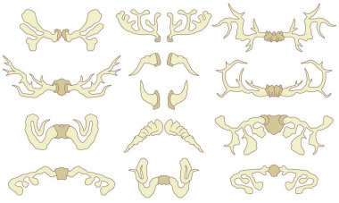 Boynuz vektörü. Boynuzlu vahşi hayvan ve geyik veya antilop boynuzları illüstrasyon beyaz arka plan üzerinde izole geyik azgın avcılık kupa seti 