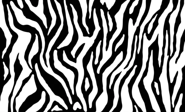 Zebrafell Streifenmuster Animal Print Schwarz Weißer Hintergrund Vektorstruktur — Stockvektor