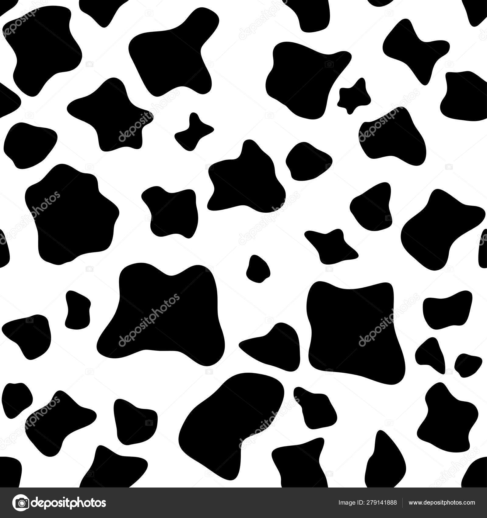 Vache Peau Texture Noir Blanc Tache Transparente Motif