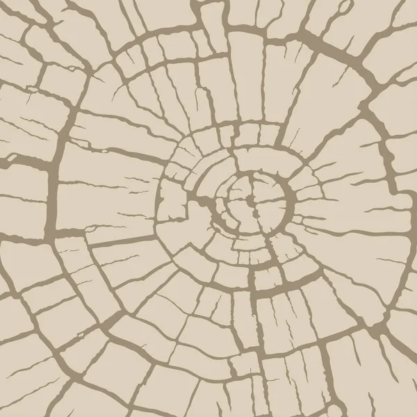 Textura Madera Agrietada Sección Transversal Radial Corte Madera Tronco Árbol — Vector de stock