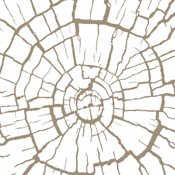 木材の質感 木のログの木製のカットをクラック 古い切り株の亀裂のパターン ベクトル背景 — ストックベクタ