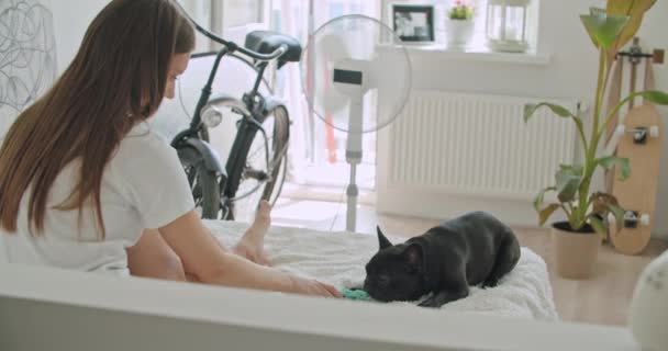Attraktive junge Frau und süße französische Bulldogge — Stockvideo