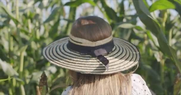 옥수수 수확을 하고 있는 젊은 여자 — 비디오