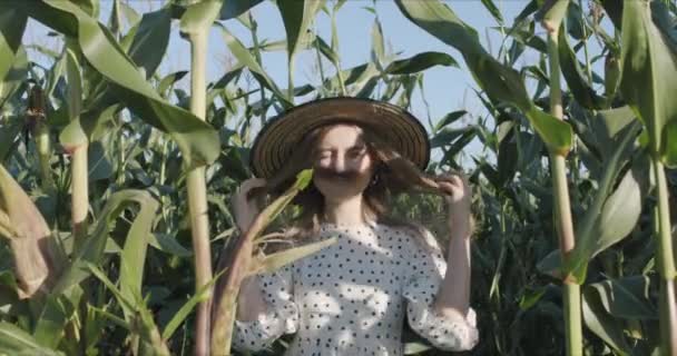 Mladá žena farmář na sklizni kukuřice — Stock video