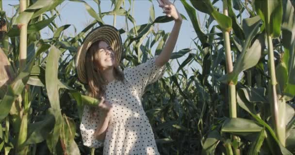 Νεαρή αγρότισσα στη συγκομιδή καλαμποκιού — Αρχείο Βίντεο