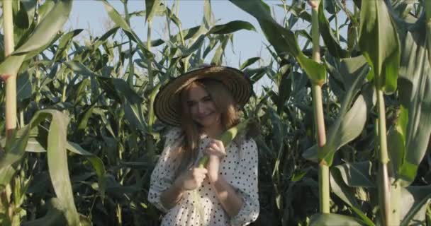 Mujer joven agricultora en cosecha de maíz — Vídeo de stock